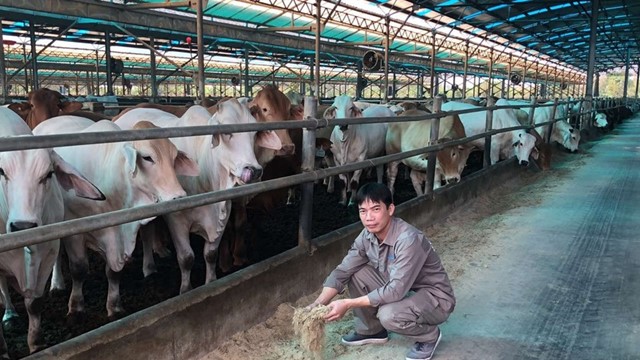 Nông nghiệp Hòa Phát (HPA) nộp hồ sơ IPO