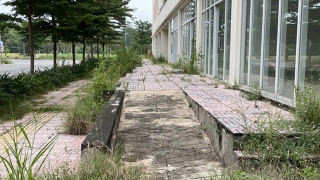 Sơn Kim Land tham gia đấu giá phát triển gần 3.800 căn hộ bỏ hoang tại Thủ Thiêm