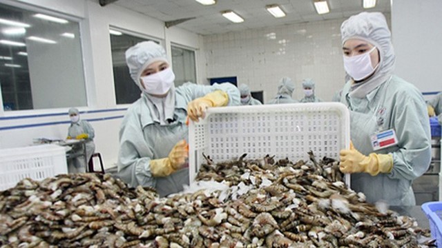 Xuất khẩu tôm Việt sang EU tăng trưởng mạnh, mở rộng dư địa cạnh tranh