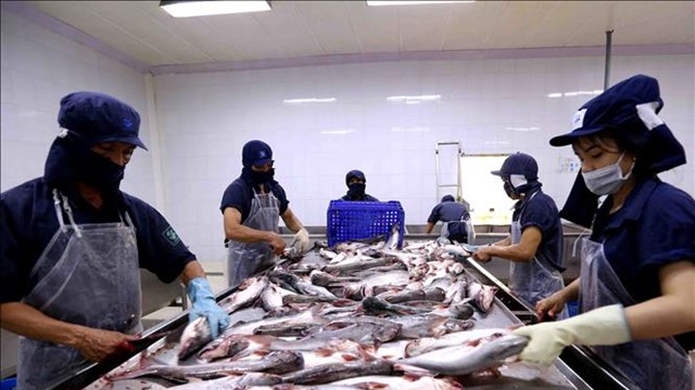 Một doanh nghiệp thủy sản báo lãi quý III gấp 3 lần cùng kỳ