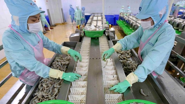 Biên lợi nhuận tăng mạnh, Minh Phú ghi nhận hơn 228 tỷ đồng lãi ròng trong quý III