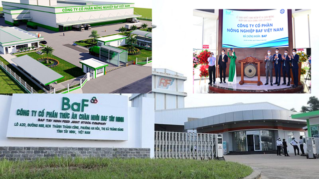 BaF Việt Nam điều chỉnh kế hoạch giải ngân 1.000 tỷ đồng trái phiếu