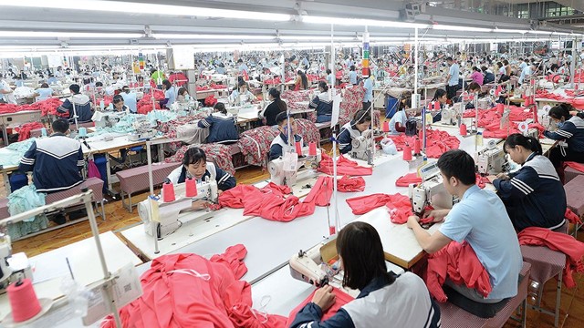 May Sông Hồng (MSH) tạm ứng cổ tức, tiền mặt 40%