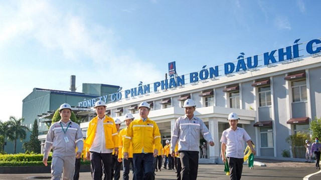 Lợi nhuận Đạm Cà Mau (DCM) được dự báo giảm 11% trong năm 2026