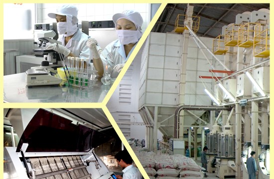 Afiex chính thức lên HoSE từ ngày 8/12, giá tham chiếu 11.300 đồng/cổ phiếu