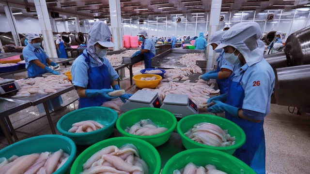 Xuất khẩu thủy sản sang Nhật Bản duy trì đà tăng trưởng mạnh