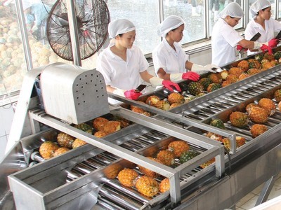 Tân binh ngành nông sản AFX vừa chào sàn đã "tím lịm" kịch biên