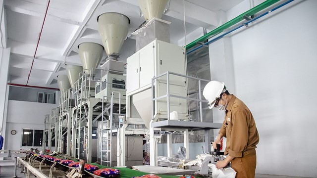 Cổ đông Phốt pho Apatit Việt Nam (PAT) sắp nhận “mưa tiền” từ cổ tức 100%