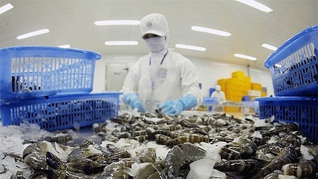 Xuất khẩu tôm sang Trung Quốc tăng mạnh, tôm sú Việt Nam giữ lợi thế ở phân khúc cao cấp