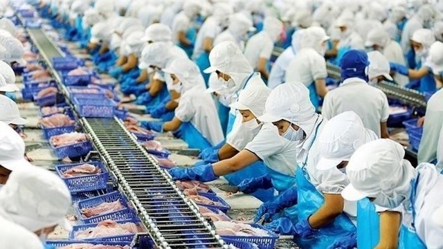 Doanh thu Vĩnh Hoàn sụt giảm tại Mỹ và thị trường nội địa trong tháng 11/2025