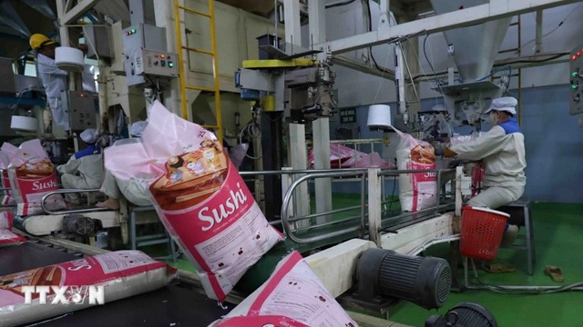 Chiến lược tái cấu trúc cho ngành gạo Việt Nam trong năm 2026