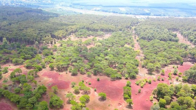 FLC của cựu Chủ tịch Trịnh Văn Quyết đón tin vui