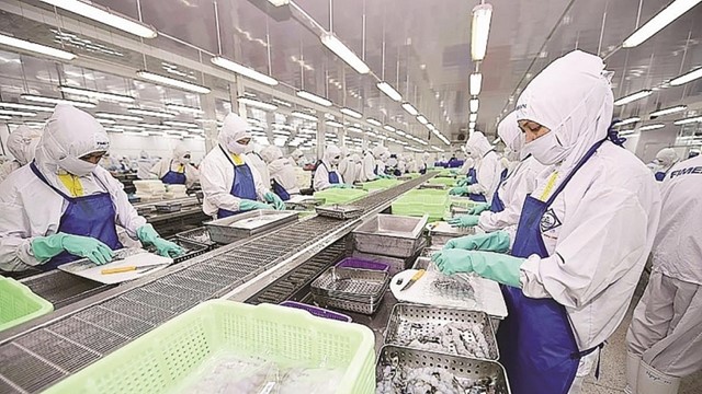 Thực phẩm Sao Ta (FMC) báo doanh thu kỷ lục năm 2025, lợi nhuận chưa đạt kế hoạch