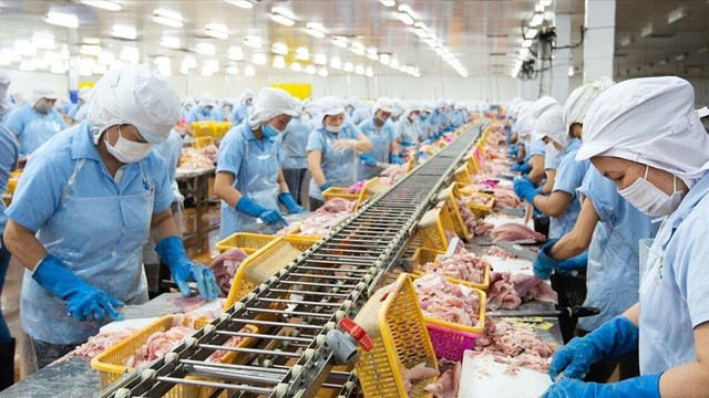 Lập kỷ lục lợi nhuận, cổ phiếu đầu ngành thủy sản này được kỳ vọng sớm tăng giá tới 48%