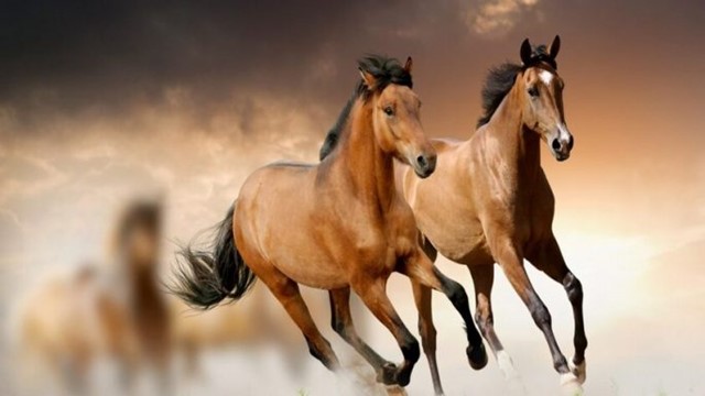 Nửa cuối tháng 4, 3 con giáp bước vào giai đoạn thăng hoa, đu đỉnh tiền tài