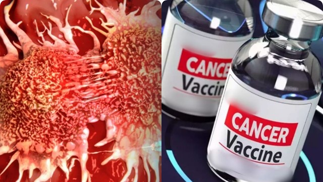 Việt Nam có thể sớm có vắc xin ung thư trên công nghệ mRNA hiện đại hàng đầu thế giới