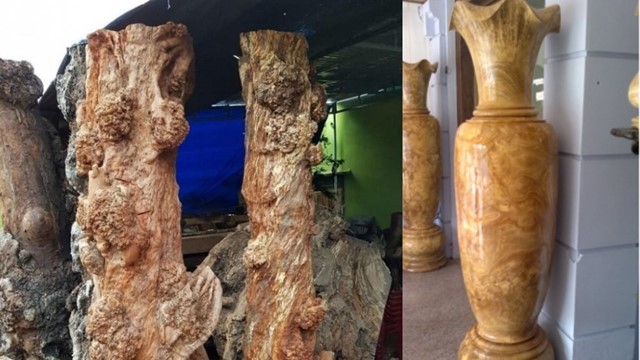 Cặp lục bình làm từ loại gỗ 'quý như kim cương' tại Việt Nam từng lập kỷ lục: Cao gần 2m, mất 36 tháng chế tác