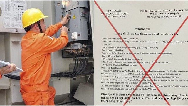 Tập đoàn Điện lực Việt Nam cảnh báo