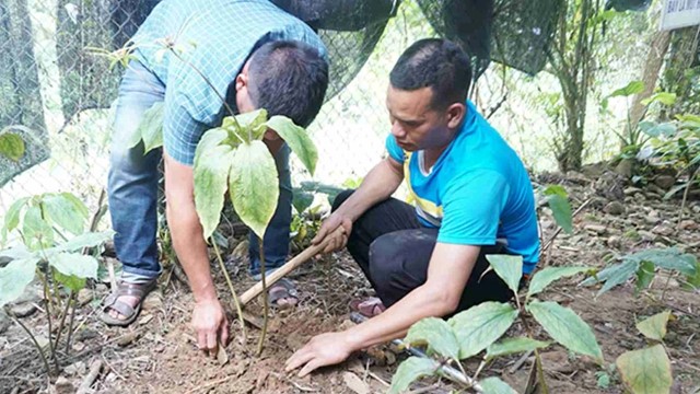 Chi 5 tỷ đồng, hai đề tài khoa học ở tỉnh miền Trung vẫn 'về tay trắng', công an vào cuộc