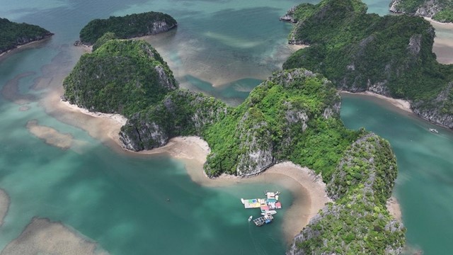 200 tỷ phú thế giới lỡ hẹn với vịnh biển đẹp nhất thế giới của Việt Nam