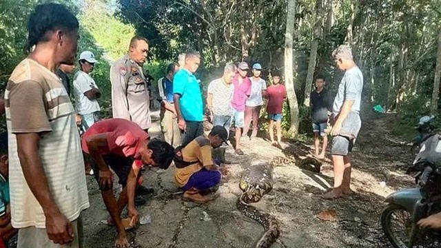 Bi kịch kinh hoàng ở thiên đường du lịch Đông Nam Á, tìm thấy nạn nhân trong bụng con trăn dài 9m