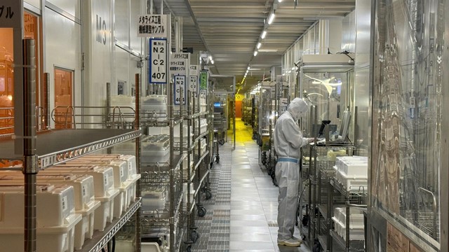 Nỗ lực hồi sinh ngành chip của Nhật Bản vỡ tan vì cú sốc xe điện và Trung Quốc