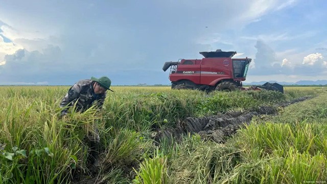 Cuba ‘mở cửa’ đất nông nghiệp sau 65 năm đóng kín, doanh nghiệp Việt làm nên lịch sử
