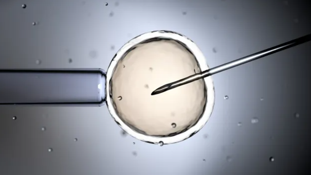 'Em bé già nhất thế giới' chào đời từ phôi thai đã được trữ đông hơn 30 năm