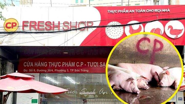 Công an triệu tập người 'tố' Công ty C.P. Việt Nam bán thịt heo bệnh