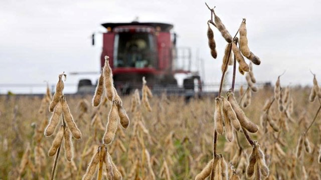 Trung Quốc ‘quay lưng’, Mỹ hoảng loạn vì mặt hàng xuất khẩu chủ lực lao dốc  