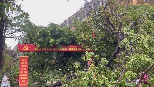 Bão số 5 quần thảo suốt đêm, Nghệ An, Hà Tĩnh thiệt hại lớn, hàng trăm ngôi nhà bị sập, cây đổ ngổn ngang