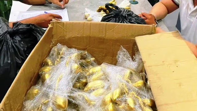 Bà T. đồng ý đổi nhẫn vàng lấy ‘cổ vật’, ngay sau đó mất trắng 5.000 USD: Công an lập tức vào cuộc, bắt gọn nhóm lừa đảo liên tỉnh