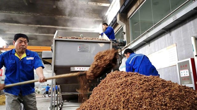 Thêm một mặt hàng của Mỹ mất thị trường lớn nhất vào tay Brazil