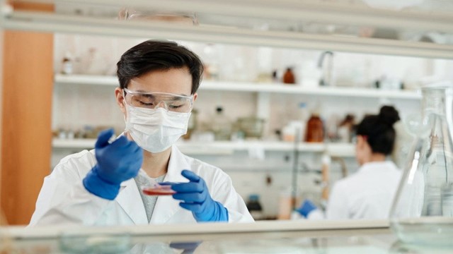 9 nhà khoa học Việt Nam góp mặt trong danh sách 10.000 nhà khoa học hàng đầu thế giới 2025