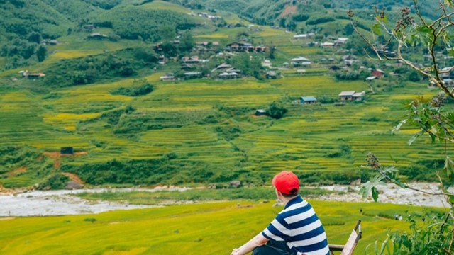 Lý do du lịch mùa thu đông năm nay 'hot' từ 'săn mùa vàng' miền núi phía Bắc đến Trung Quốc, Nhật Bản?