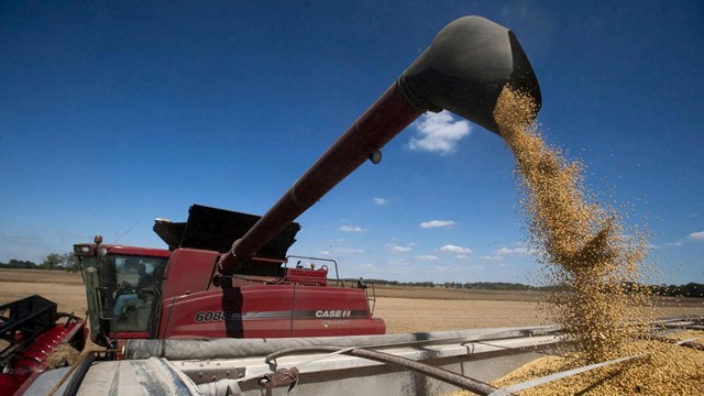 Trung Quốc ‘chốt kèo’ lớn, nông dân Mỹ mất trắng mùa vàng 