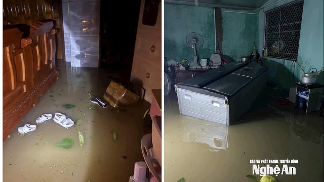 Bão Bualoi quần thảo suốt đêm, bà con Nghệ An, Hà Tĩnh trắng đêm chống mưa lũ