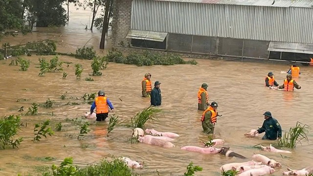 Bão Bualoi khiến 19 người chết, 13 người mất tích