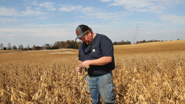 Trung Quốc 'giáng đòn', nông dân Mỹ điêu đứng