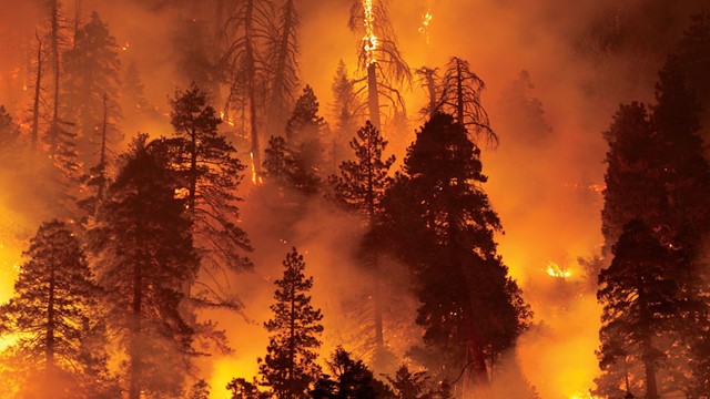 Nồng độ CO₂ trên toàn cầu cao kỷ lục, Trái Đất đang dần mất khả năng tự cân bằng?