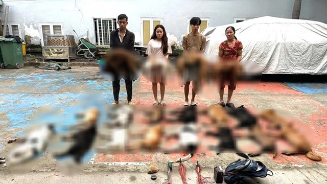 Bắt giữ khẩn cấp chủ lò mổ Phạm Thị Liên