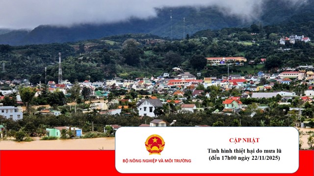 85 người chết và mất tích, nhiều phường, xã còn ngập sâu