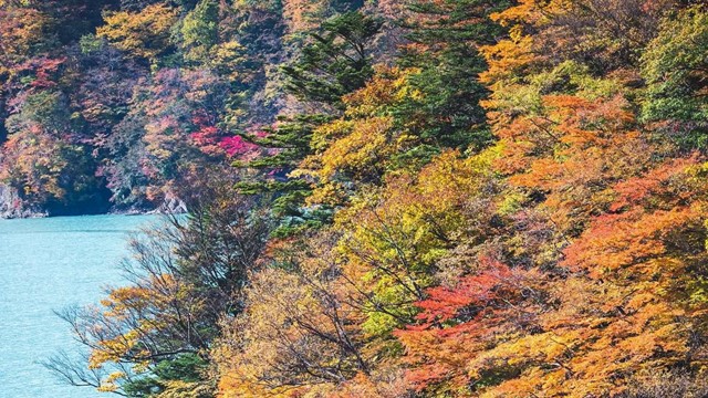 Quốc gia 3 năm liên tiếp được báo Mỹ vinh danh 'hấp dẫn nhất thế giới', đón lượng khách Việt cao kỷ lục