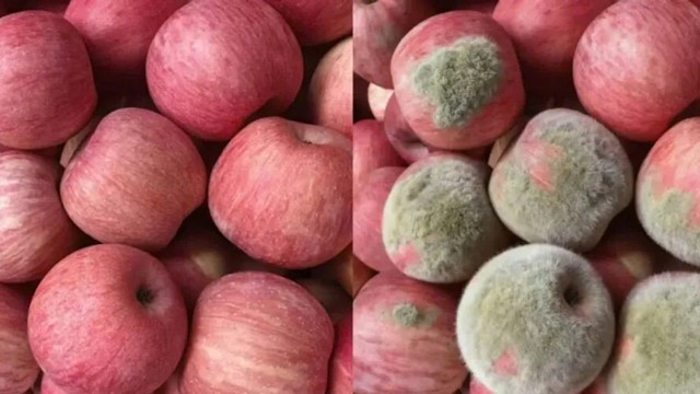 Trò lừa đảo mới thời AI: Người mua tạo hình ảnh giả để tố sản phẩm hỏng rồi đòi hoàn tiền