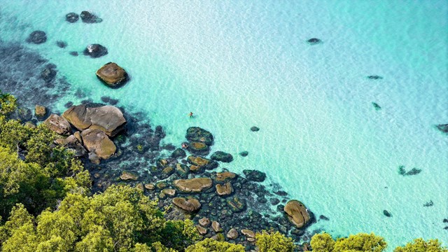 Cháy rừng nghiêm trọng ở Bồ Đào Nha, EU điều động viện trợ khẩn cấp