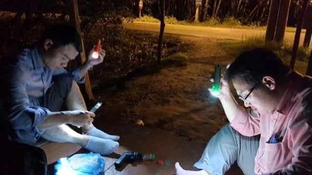 Người bắt muỗi tại thành phố này của Việt Nam sẽ được hỗ trợ 130.000 đồng/đêm