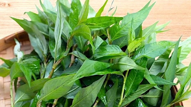 Loại rau ăn kèm quen thuộc của người Việt là bài thuốc quý chữa bách bệnh