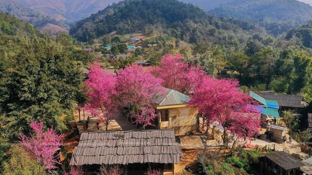 Ngôi làng miền biên viễn xứ Nghệ được ví như 'Nhật Bản thu nhỏ', sở hữu cảnh đẹp đến nao lòng