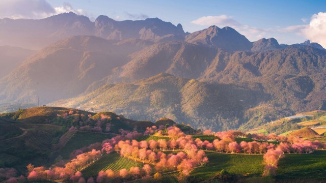 Cùng với Nhật Bản, Indonesia, Việt Nam có 'Điểm đến tăng trưởng nhanh nhất châu Á năm 2025'