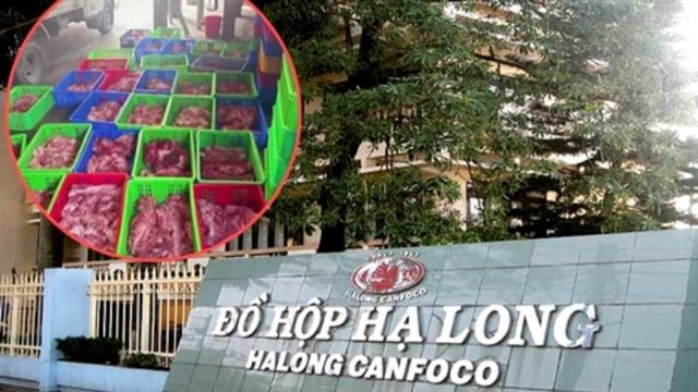 Chính thức khởi tố Tổng Giám đốc Công ty Đồ hộp Hạ Long